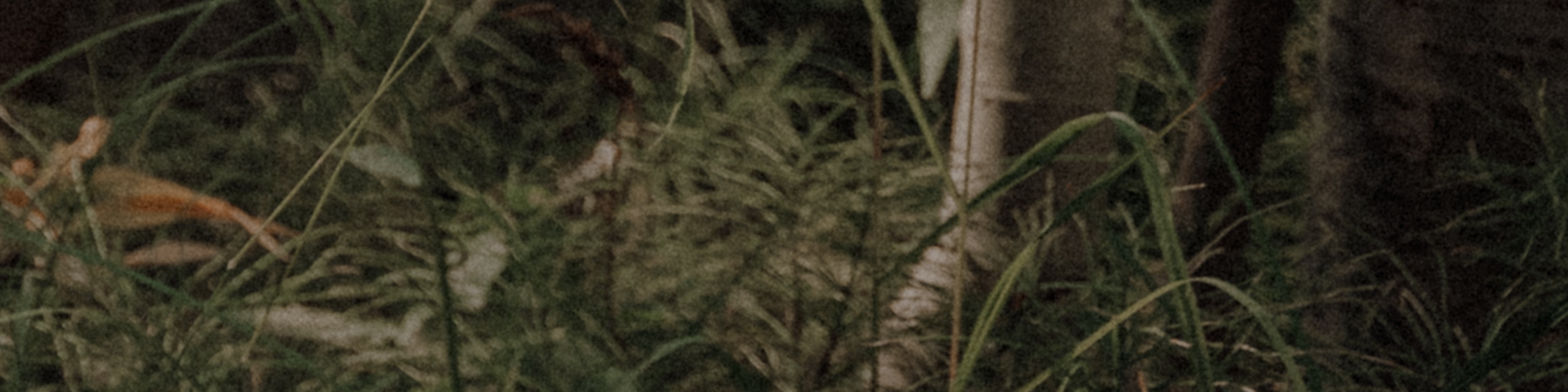 1de29b90 fec3 013d b08a 0a58a9feac02